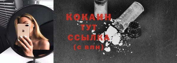 дживик Надым