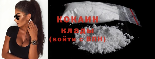 дживик Надым