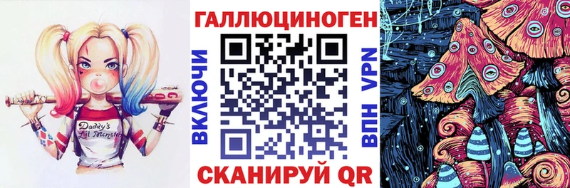 закладки  Кумертау  Галлюциногенные грибы Cubensis 