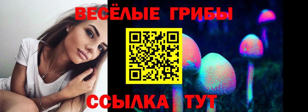 Псилоцибиновые грибы мицелий Кумертау